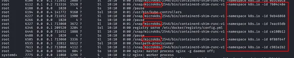 Microk8s Processes