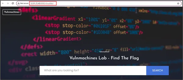 Vulnerable Instance Lab Access