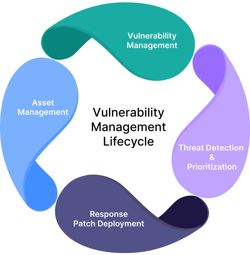 What is Vulnerability Management?